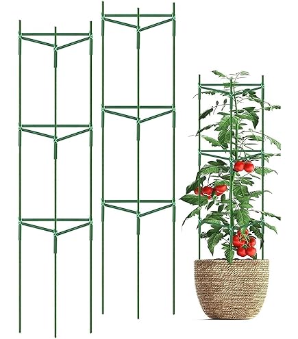 Amazon | DIFEIUKI 植物支柱 三角形 園芸支柱 3セット トマト 植物成長